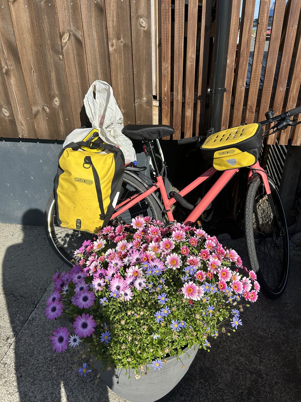 Touring bike parked next to flowers at Ramberg Resort